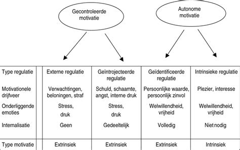 testwijzer|Workshop TestWijzer een schematisch overzicht van。